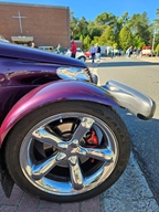 Heiderondrit Veerle -  28 september 2025