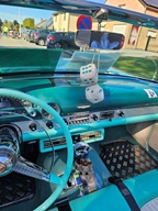 Heiderondrit Veerle -  28 september 2025