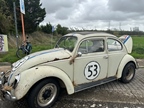 RDO dag van de oldtimer (Doel) -  5 oktober 2025