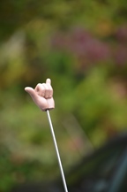 RDO dag van de oldtimer -  5 oktober 2025