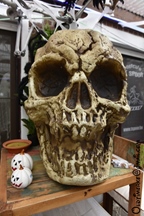 Herfstrit Oldtimerclub "Oude Gloriën" -  5 oktober 2025