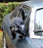 7de KKI Happy Halloween oldtimerrit -  5 oktober 2025