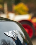 End-of-season Cars & Coffee - Zoersel -  11 november 2025