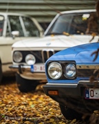 End-of-season Cars & Coffee - Zoersel -  11 november 2025