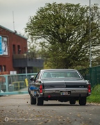 End-of-season Cars & Coffee - Zoersel -  11 november 2025