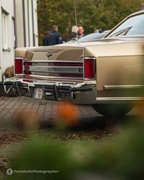 End-of-season Cars & Coffee - Zoersel -  11 november 2025