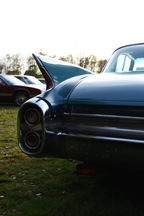 Make Love Not War -  11 november 2025