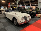 InterClassics Brussels -  15 november 2025