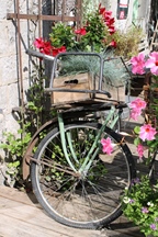 Vintage forever -  20 november 2025