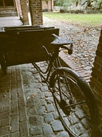 Vintage forever -  20 november 2025