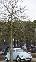 Swapmeet for aircooled VW & classic VAG's te Lommel -  1 februari 2026