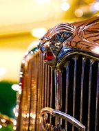 Visscher Classique -  22 februari 2026