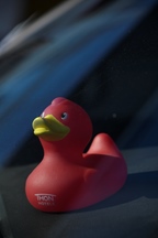 Karren & Kaffe Duffel -  1 maart 2026