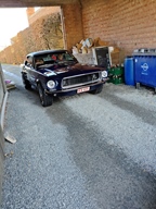 Openingsrit Den Bril -  1 maart 2026