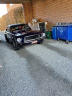 Openingsrit Den Bril -  1 maart 2026