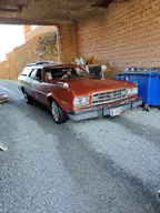 Openingsrit Den Bril -  1 maart 2026