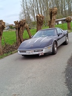 Openingsrit Den Bril -  1 maart 2026