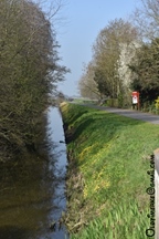 Dauwfietstocht d'Antieke Velokes -  22 maart 2026