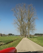 Palieterraly Oldtimerfriends -  22 maart 2026