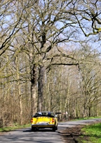 Palieterraly Oldtimerfriends -  22 maart 2026