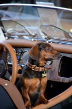 Oldtimerbeurs Limburghal Genk -  28 maart 2026