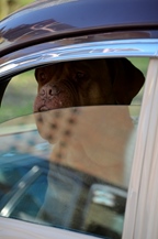 Oldtimerbeurs Limburghal Genk -  28 maart 2026