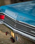 The Bratz Monkeys Meet & Greet -  5 april 2026