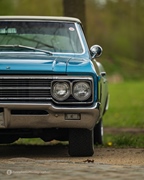 The Bratz Monkeys Meet & Greet -  5 april 2026