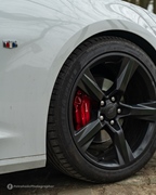 The Bratz Monkeys Meet & Greet -  5 april 2026