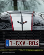 The Bratz Monkeys Meet & Greet -  5 april 2026