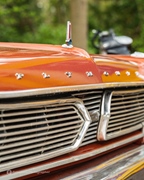 The Bratz Monkeys Meet & Greet -  5 april 2026