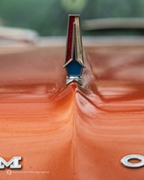 The Bratz Monkeys Meet & Greet -  5 april 2026