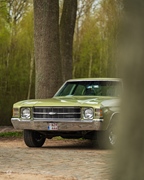 The Bratz Monkeys Meet & Greet -  5 april 2026