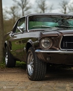 The Bratz Monkeys Meet & Greet -  5 april 2026