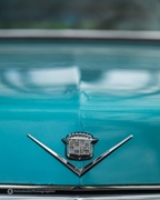 The Bratz Monkeys Meet & Greet -  5 april 2026