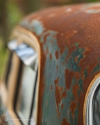 The Bratz Monkeys Meet & Greet -  5 april 2026