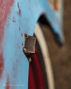 The Bratz Monkeys Meet & Greet -  5 april 2026