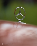 The Bratz Monkeys Meet & Greet -  5 april 2026