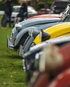 The Bratz Monkeys Meet & Greet -  5 april 2026