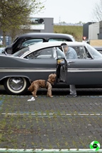 Mid-Century Car Club, rondrit van Limburg - Zolder -  12 april 2026