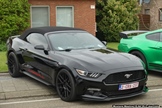 Mustang Fever -  18 april 2026