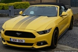 Mustang Fever -  18 april 2026