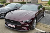 Mustang Fever -  18 april 2026