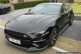 Mustang Fever -  18 april 2026