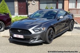 Mustang Fever -  19 april 2026