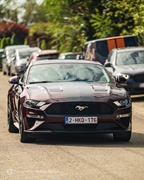 Mustang Fever -  19 april 2026