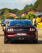 Mustang Fever -  19 april 2026