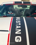 Mustang Fever -  19 april 2026