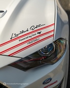 Mustang Fever -  19 april 2026