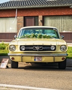 Mustang Fever -  19 april 2026